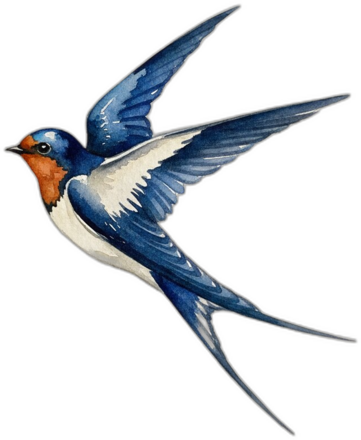 Palmi